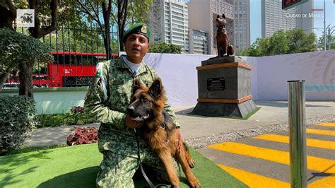 Arkadas y Ejército de México rinden homenaje a Proteo CNN Video