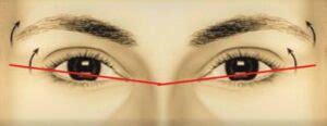 Does Your Canthal Tilt Affect Your Face Attractiveness?