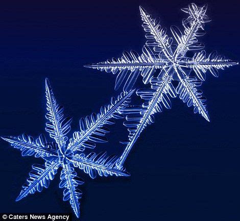 Winter S Wonders Amazing Pictures Of Snowflakes Captured In All Their