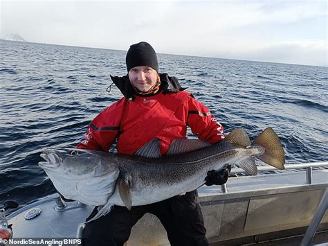 El Padre Bacalao Un Padre Sueco Y Su Hijo Capturan Un Enorme Pez De