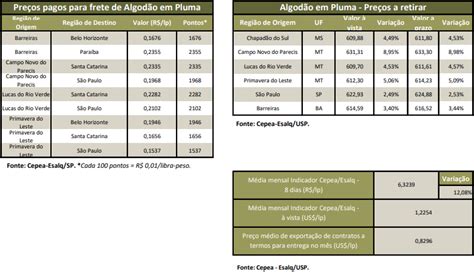 Algodão Preços Do Algodão Em Pluma No Brasil Voltaram A Subir Em