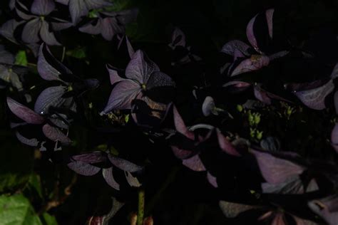 can anyone please help me identify this Barbie : r/Barbie