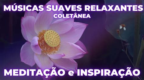 Colet Nea De M Sicas Calmas E Relaxantes Para Meditar E Inspirar Youtube