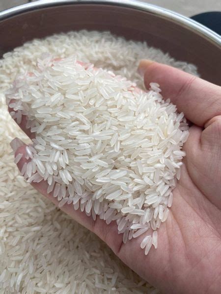 Buy Long Grain Rice Om18 5 Broken From CHEN HAO CO LTD Vietnam