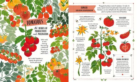 Grow A Children s Guide to Plants and How to Grow Them by Rizaniño