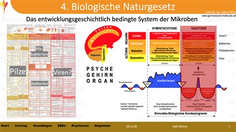 Statt Corona Akademie Für Germanische Heilkunde