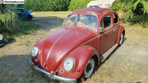 Thesamba Vw Classifieds Garnet Red Ragtop