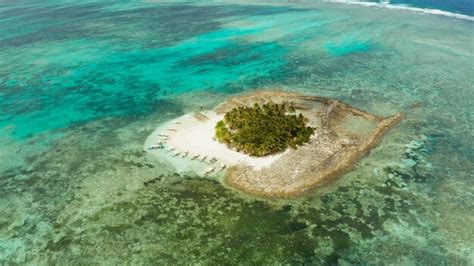 Premium Photo Aerial View Of Sandy Beach With Tourists On Tropical