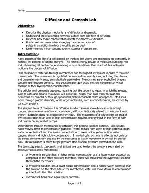 LAB 04 Diffusion And Osmosis