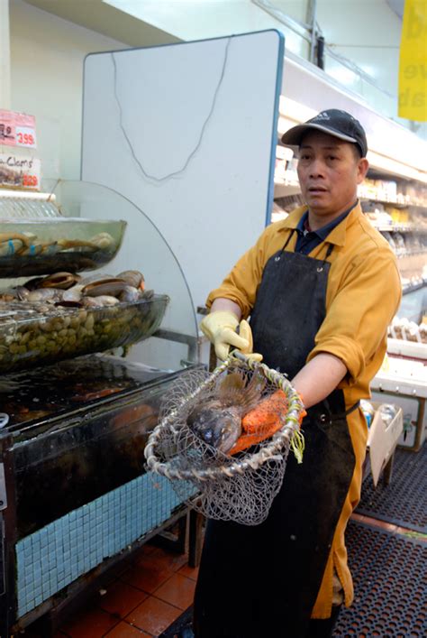 Buy A Live Fish In Oakland Chinatown For A Traditional Chinese New Year