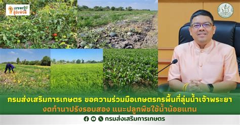 เกษตรรู้สู้ภัยพิบัติ Archives Page 2 Of 7 ศูนย์ข่าวกรมส่งเสริมการเกษตร