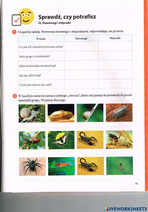 School Subjects Google Classroom Workbook Worksheets Colorful