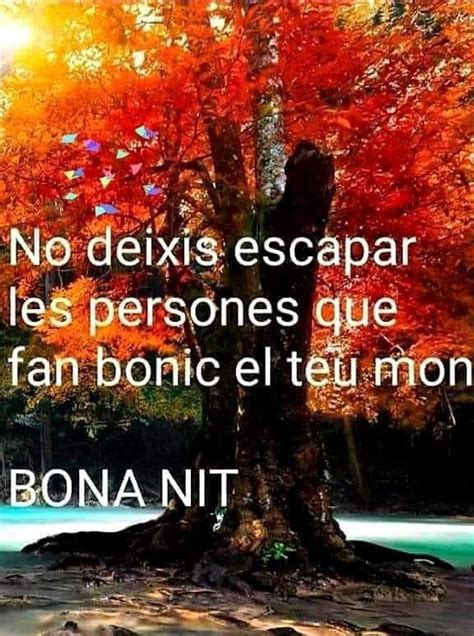 Pin de tere en Bona nit Frases divertidas de buenos días Mensages de