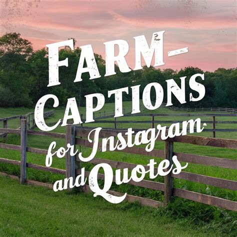 225 Farm Captions For Instagram And Quotes