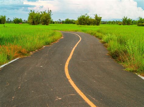 Road In Rural Area Farm Free Stock Photo Public Domain Pictures