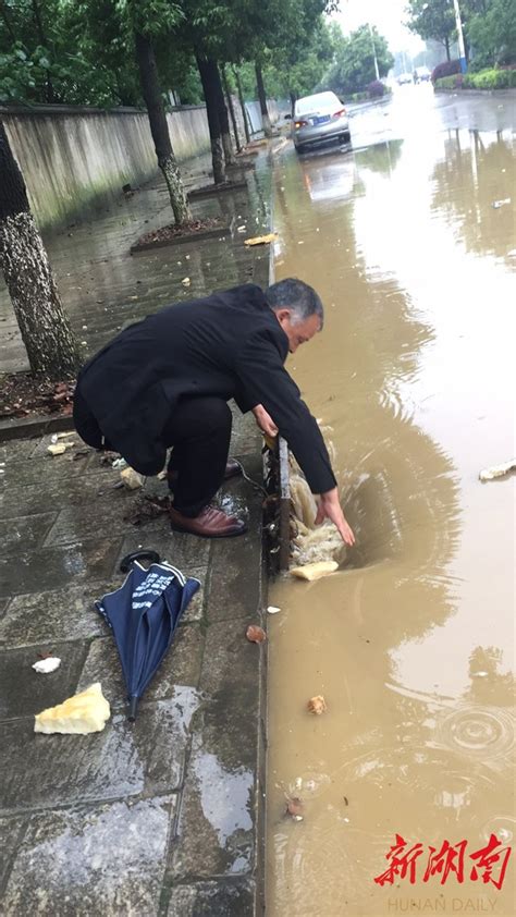 月亮岛街道暴雨来袭加强巡查防内涝 望城 新湖南