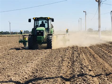 Las instalaciones de Fundación Produce Sinaloa A.C., se pintan de verde
