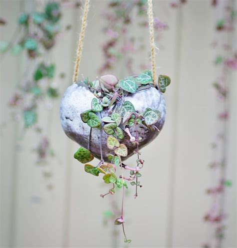 Air Anurak Davis Perth Wa On Instagram Made This Heart Hanging Pot