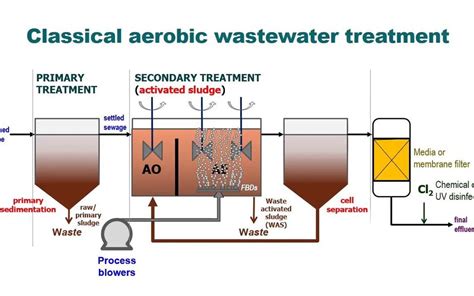 Conventional Activated Sludge Cas Process Sludge Processing