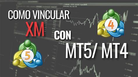 Como Vincular Tu Cuenta De Xm Global Con Metatrader Youtube