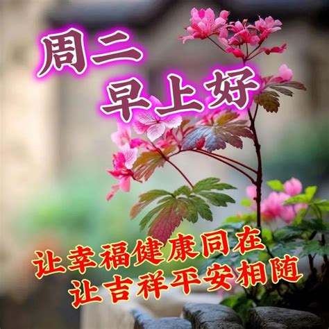 5月9日周二早上好清晨暖心祝福语图片问候语 哔哩哔哩