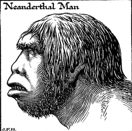 Neanderthal Overview, History & Features | Study.com