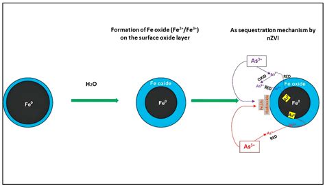 water  full text assessment  zerovalent iron nanoparticle
