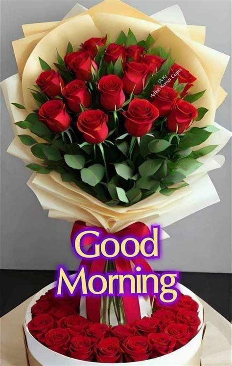 Pin By Ajay Kulkarni On Dec 23 Good Morning Flowers Pictures Good