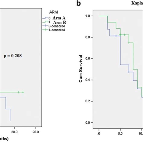 A Kaplan Meier Curve Comparing Cumulative Overall Survival Between