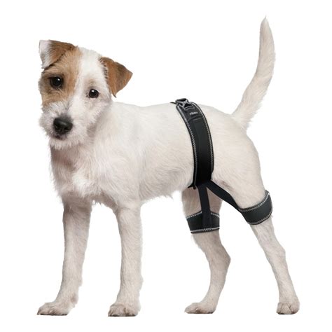 CHAMIN Dog Hip Orthotics Brace, Dog Hip Dysplasia Brace Harness
