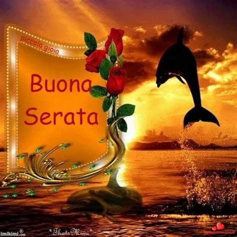 Buona Serata Belle Immagini Delfini Belleimmaginiit Dolphin Art