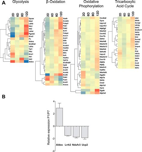 Gene Expression Analysis A Heat Map Showing Gene Expression Assayed