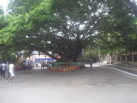 Ammavari temple - Tirumala