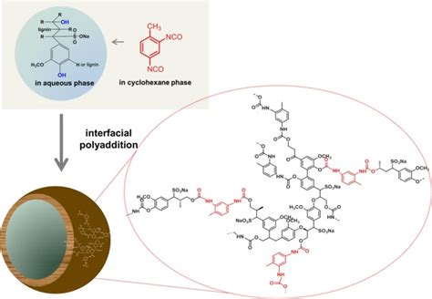 Schematic Representation For The Preparation Of Lignin Nanocapsules