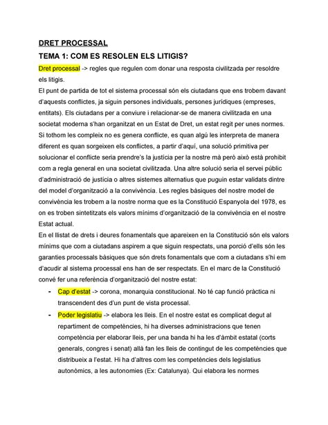 Dret Processal Apuntes De Derecho Procesal De La Pompeu Fabra Primer