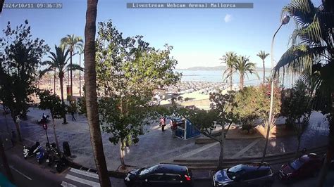 Webcams Mallorca Webcams Alcudia El Arenal Palma Und Mehr