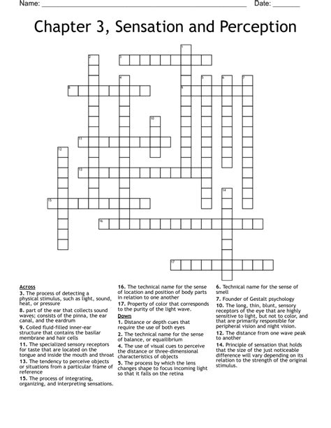 Chapter 3 Sensation And Perception Crossword WordMint