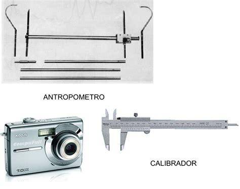 Proyecto Ergonomia Antropometr A Din Mica