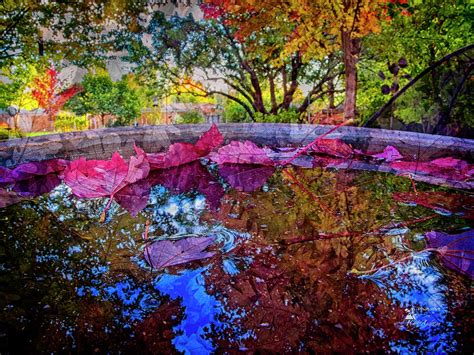 A Special Kind Of Autumn Photograph By Mick Anderson Fine Art America