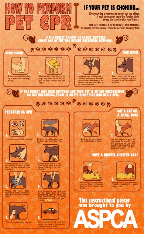 Free Printable Pet CPR and Emergency Dog & Pet Medical Posters: How to do cpr on a dog – All ...