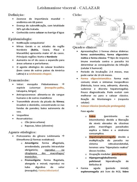 Leishmaniose Visceral: Calazar e Tratamento | PDF | Leishmania ...