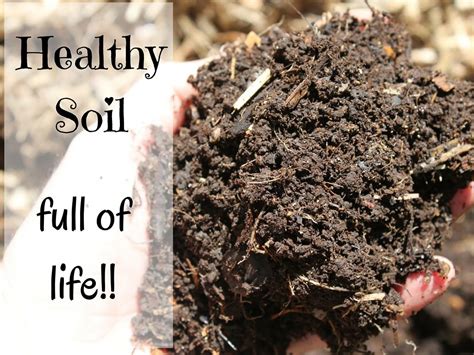 how to fix garden soil