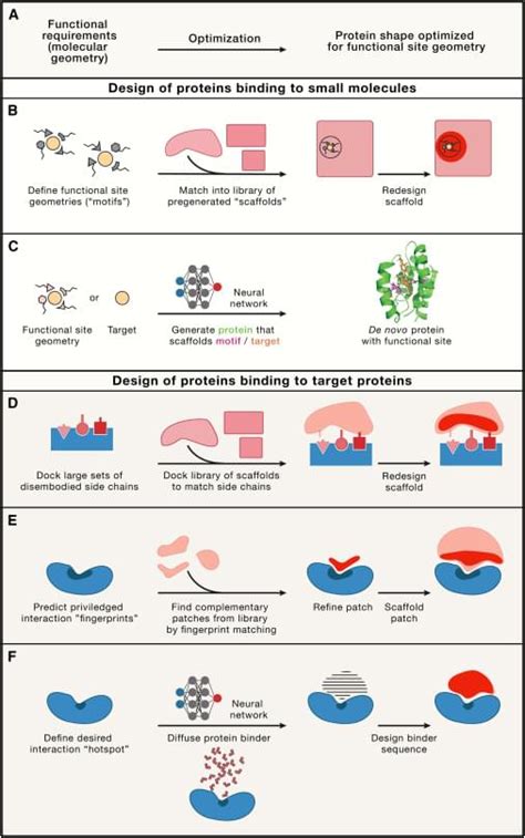 De novo protein design—From new structures to programmable functions