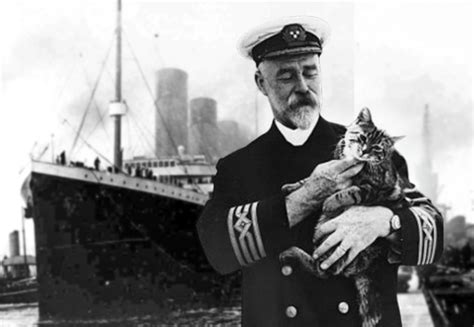 jenny  legendary cat   titanic lovecats world