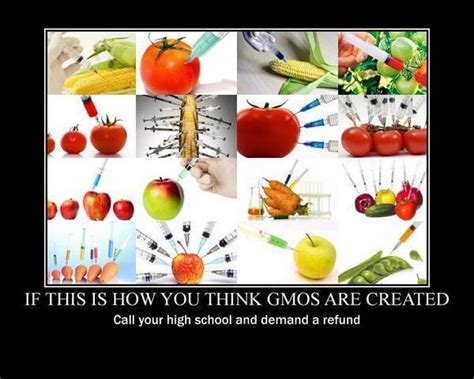 How Do You Think Gmos Are Made Genetic Literacy Project