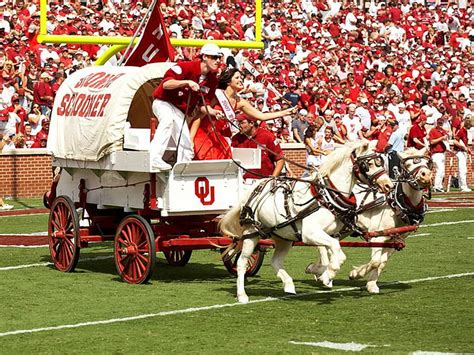 HD wallpaper: college, football, oklahoma, sooners | Wallpaper Flare