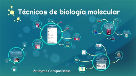 Técnicas de biología molecular by zul m on Prezi