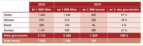 Le Cheptel Bovin Et La Production De Viande Bovine Economie M Tiers