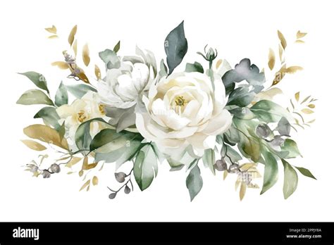 Bouquet D Illustrations Florales Aquarelle Collection De Branches De