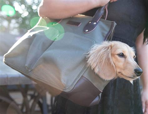 Mejores Bolsos Para Perros transporte De 2025 análisis